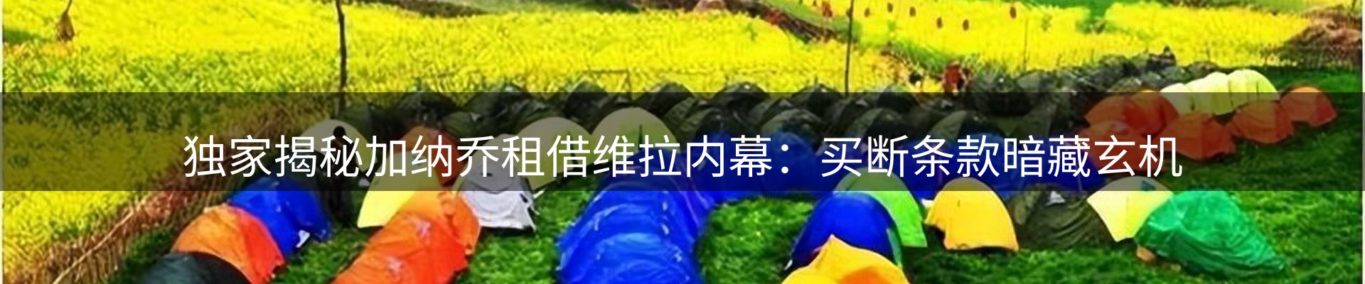 平台资讯